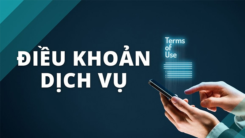 Quyền và nghĩa vụ của Vebo Quyền và nghĩa vụ của Vebo