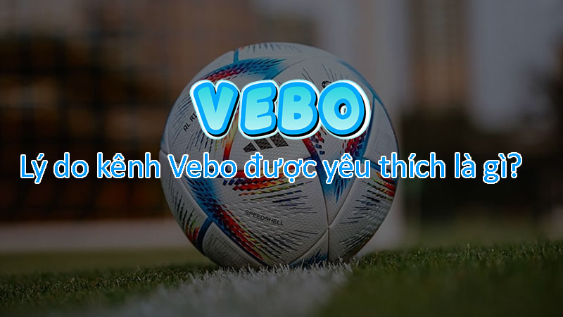 Tại sao kênh bóng đá trực tuyến được yêu thích như vậy? Tại sao kênh bóng đá trực tuyến được yêu thích như vậy?